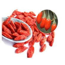 Super calidad Goji Berry, de bajo plaguicida Goji Berry, Orgánica Goji Berry Fruit